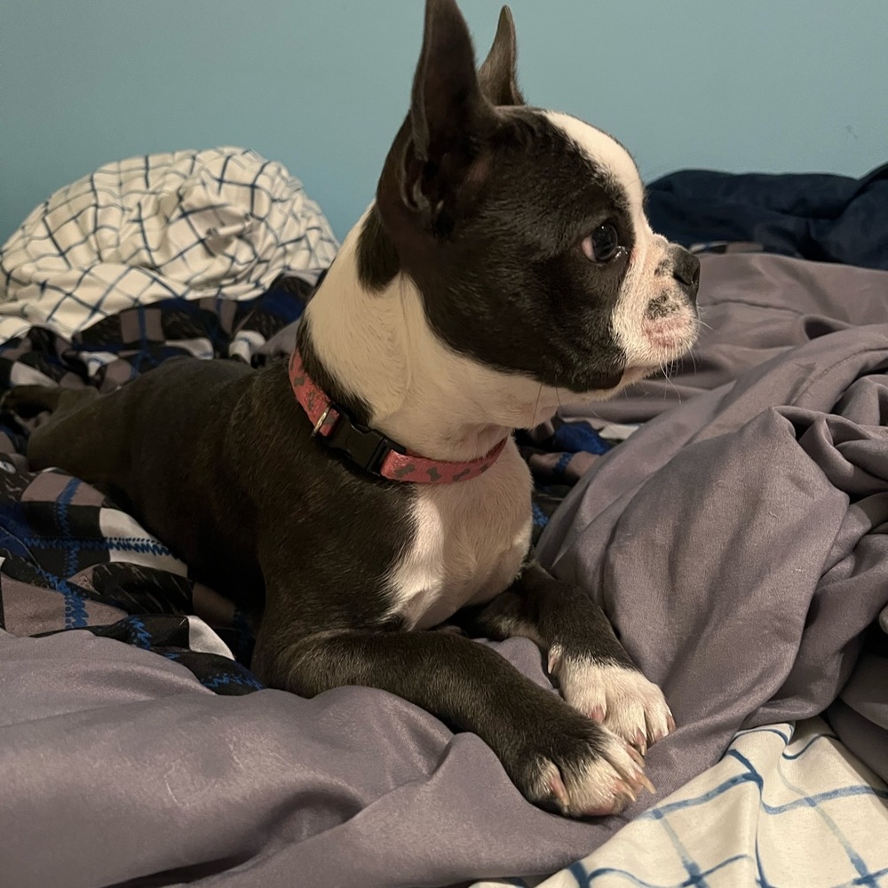 Meet your Posher, Claudia